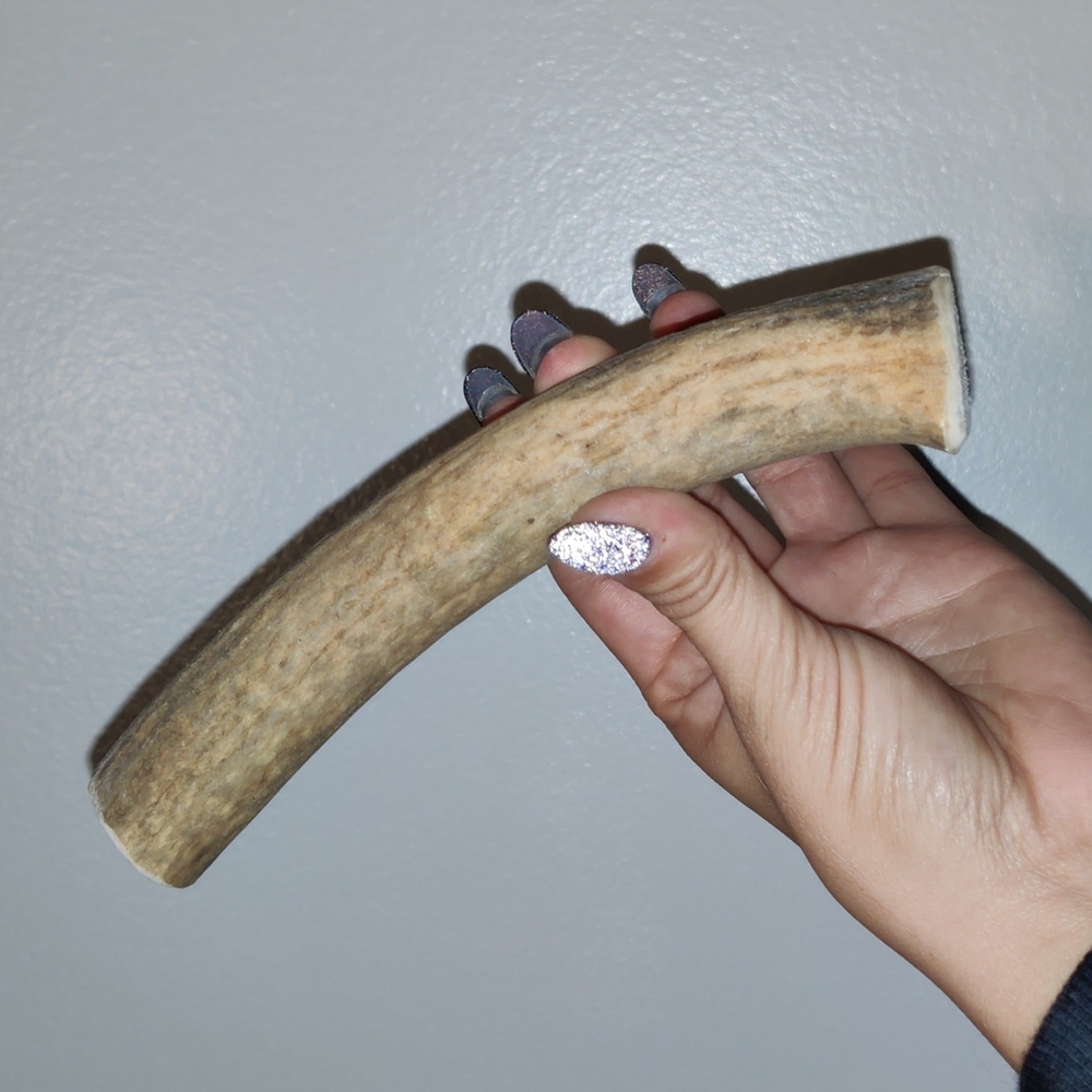 Deer Antler
